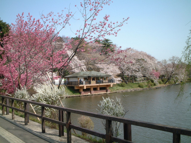 三ツ池公園